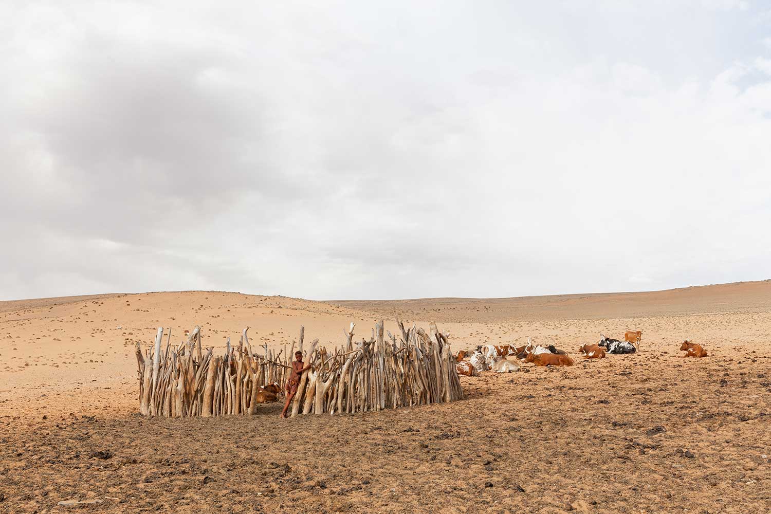 Himba cattle enclosure. Namibia