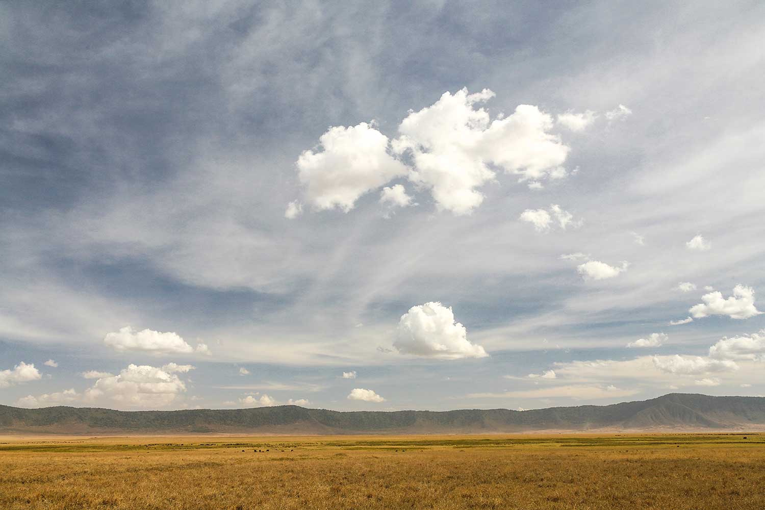 Ngorongoro. Tanzania